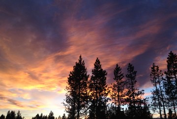 Grief Loss Counseling Therapy Denver Bouffard