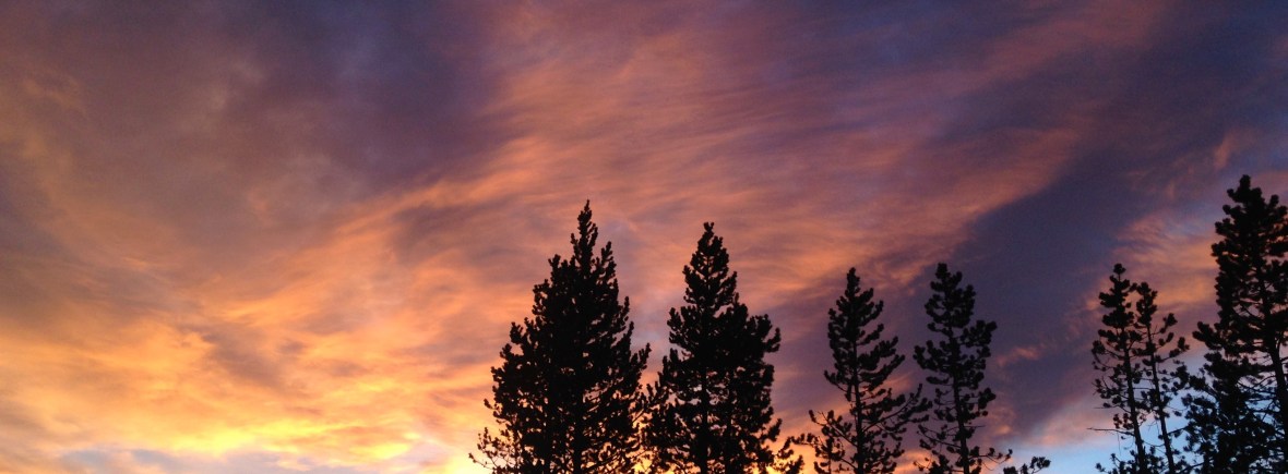 Grief Loss Counseling Therapy Denver Bouffard